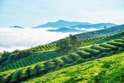 Lưu ngày 10 địa chỉ du lịch đẹp quên lối về tại Bảo Lộc